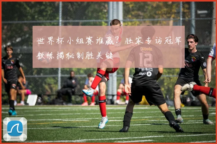 世界杯小组赛谁赢?独家专访冠军教练揭秘制胜关键