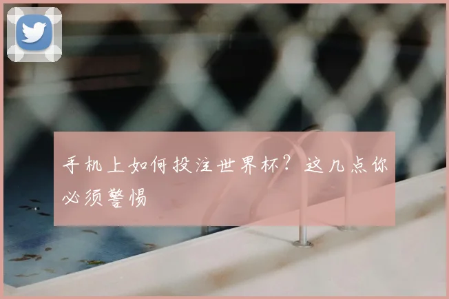 手机上如何投注世界杯?这几点你必须警惕