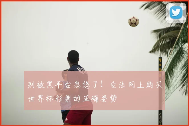 别被黑平台忽悠了!合法网上购买世界杯彩票的正确姿势