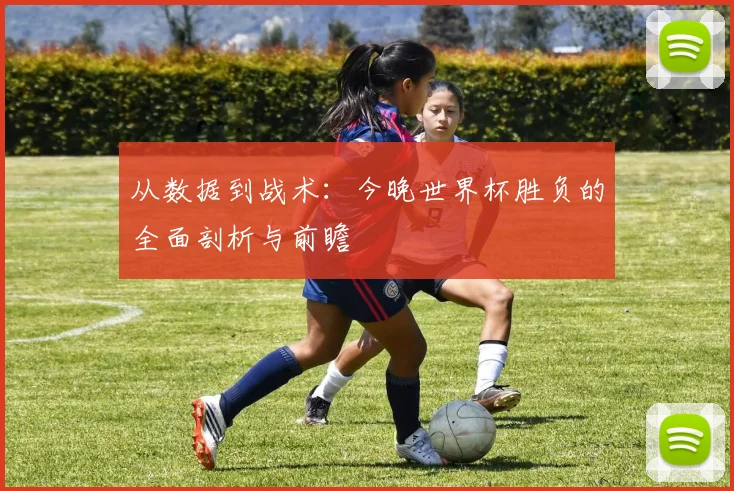从数据到战术:今晚世界杯胜负的全面剖析与前瞻